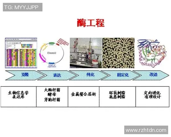 最新亨克对阵欧本比赛分析及双方近期状态评估